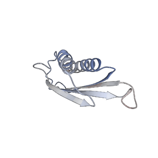 6709_5x8p_y_v1-4
Structure of the 70S chloroplast ribosome from spinach