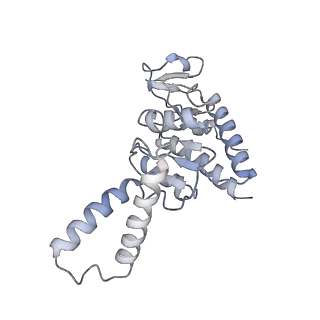 6710_5x8r_b_v1-4
Structure of the 30S small subunit of chloroplast ribosome from spinach