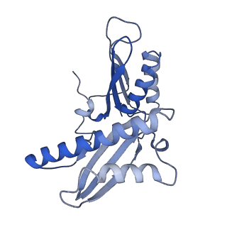 6710_5x8r_c_v1-4
Structure of the 30S small subunit of chloroplast ribosome from spinach