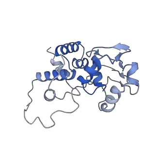 6710_5x8r_d_v1-4
Structure of the 30S small subunit of chloroplast ribosome from spinach