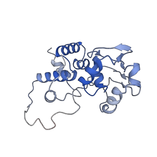 6710_5x8r_d_v1-5
Structure of the 30S small subunit of chloroplast ribosome from spinach