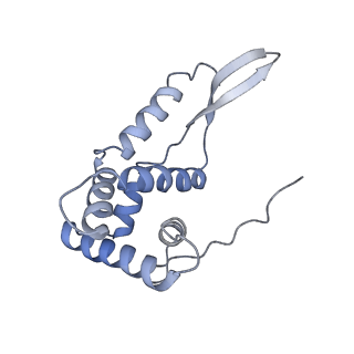 6710_5x8r_g_v1-4
Structure of the 30S small subunit of chloroplast ribosome from spinach