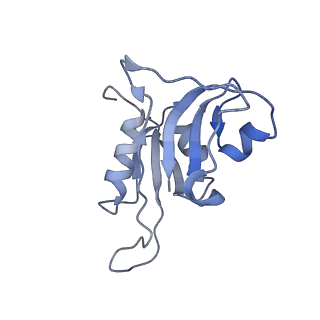 6710_5x8r_h_v1-4
Structure of the 30S small subunit of chloroplast ribosome from spinach