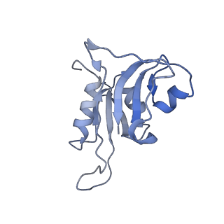 6710_5x8r_h_v1-5
Structure of the 30S small subunit of chloroplast ribosome from spinach