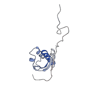 6710_5x8r_i_v1-5
Structure of the 30S small subunit of chloroplast ribosome from spinach