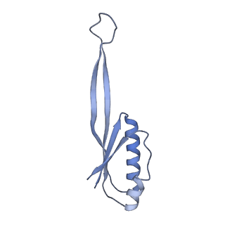 6710_5x8r_j_v1-5
Structure of the 30S small subunit of chloroplast ribosome from spinach