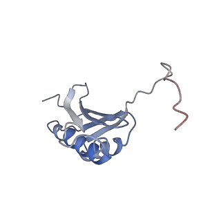6710_5x8r_k_v1-4
Structure of the 30S small subunit of chloroplast ribosome from spinach