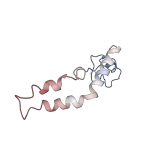 6710_5x8r_n_v1-5
Structure of the 30S small subunit of chloroplast ribosome from spinach