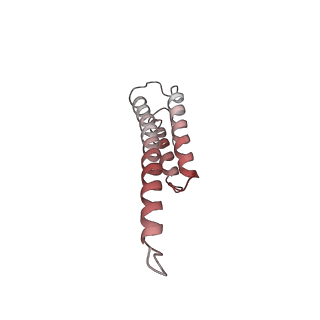 6710_5x8r_t_v1-5
Structure of the 30S small subunit of chloroplast ribosome from spinach