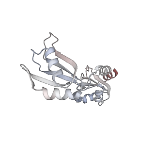 6710_5x8r_v_v1-4
Structure of the 30S small subunit of chloroplast ribosome from spinach