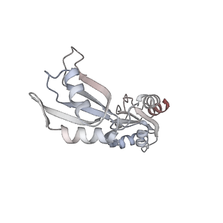 6710_5x8r_v_v1-5
Structure of the 30S small subunit of chloroplast ribosome from spinach