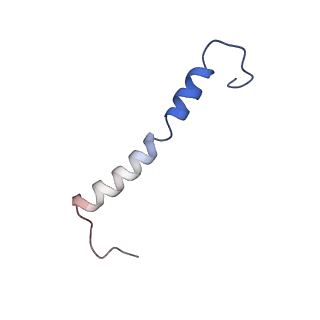 6711_5x8t_1_v1-5
Structure of the 50S large subunit of chloroplast ribosome from spinach