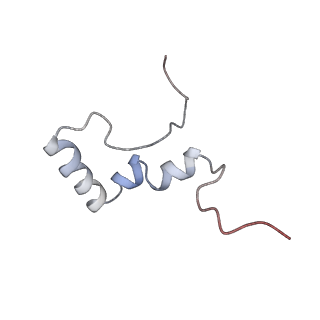 6711_5x8t_3_v1-5
Structure of the 50S large subunit of chloroplast ribosome from spinach