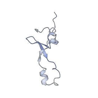 6711_5x8t_4_v1-5
Structure of the 50S large subunit of chloroplast ribosome from spinach