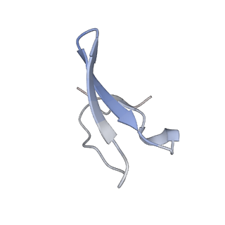 6711_5x8t_5_v1-5
Structure of the 50S large subunit of chloroplast ribosome from spinach