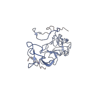 6711_5x8t_C_v1-5
Structure of the 50S large subunit of chloroplast ribosome from spinach