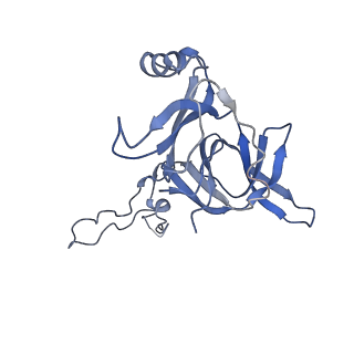 6711_5x8t_D_v1-4
Structure of the 50S large subunit of chloroplast ribosome from spinach
