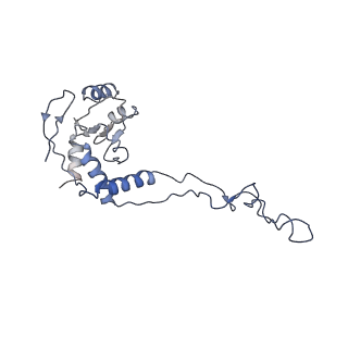 6711_5x8t_E_v1-4
Structure of the 50S large subunit of chloroplast ribosome from spinach
