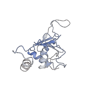 6711_5x8t_F_v1-4
Structure of the 50S large subunit of chloroplast ribosome from spinach