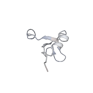 6711_5x8t_H_v1-5
Structure of the 50S large subunit of chloroplast ribosome from spinach