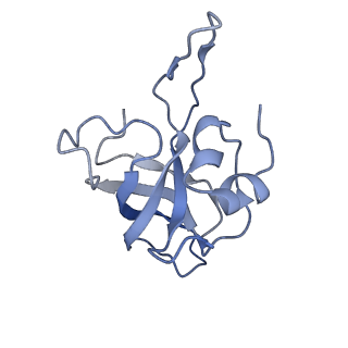 6711_5x8t_L_v1-5
Structure of the 50S large subunit of chloroplast ribosome from spinach