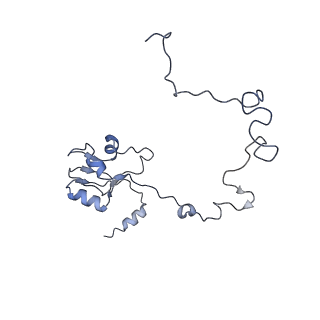 6711_5x8t_M_v1-4
Structure of the 50S large subunit of chloroplast ribosome from spinach
