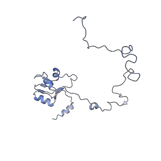 6711_5x8t_M_v1-5
Structure of the 50S large subunit of chloroplast ribosome from spinach