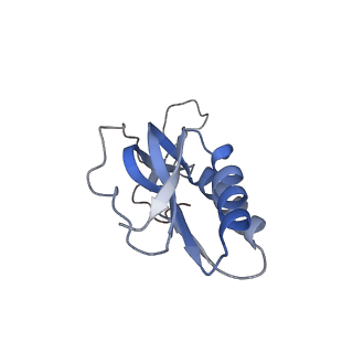 6711_5x8t_N_v1-5
Structure of the 50S large subunit of chloroplast ribosome from spinach