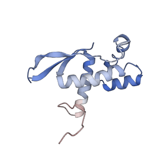 6711_5x8t_O_v1-5
Structure of the 50S large subunit of chloroplast ribosome from spinach