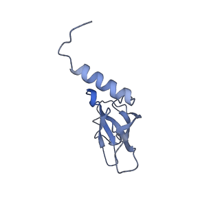 6711_5x8t_Q_v1-5
Structure of the 50S large subunit of chloroplast ribosome from spinach