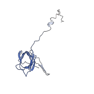 6711_5x8t_S_v1-5
Structure of the 50S large subunit of chloroplast ribosome from spinach