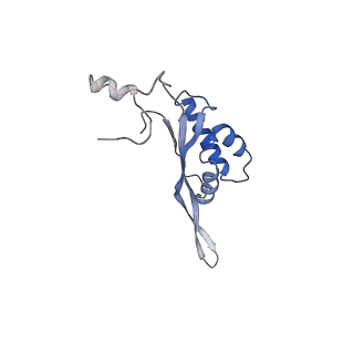 6711_5x8t_T_v1-5
Structure of the 50S large subunit of chloroplast ribosome from spinach