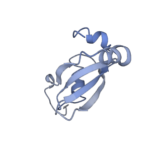 6711_5x8t_U_v1-5
Structure of the 50S large subunit of chloroplast ribosome from spinach