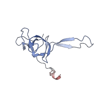 6711_5x8t_V_v1-5
Structure of the 50S large subunit of chloroplast ribosome from spinach