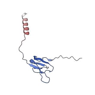 6711_5x8t_X_v1-4
Structure of the 50S large subunit of chloroplast ribosome from spinach