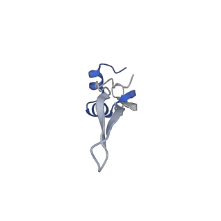 6711_5x8t_Y_v1-4
Structure of the 50S large subunit of chloroplast ribosome from spinach