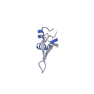 6711_5x8t_Y_v1-5
Structure of the 50S large subunit of chloroplast ribosome from spinach