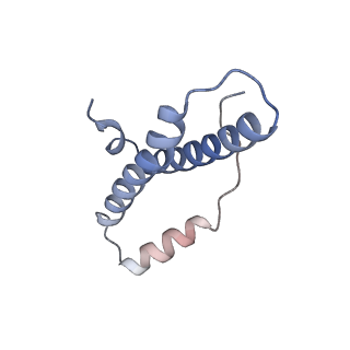 6711_5x8t_Z_v1-5
Structure of the 50S large subunit of chloroplast ribosome from spinach