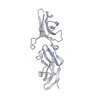 22098_6x93_B_v1-1
Interleukin-10 signaling complex with IL-10RA and IL-10RB