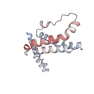 22098_6x93_D_v1-1
Interleukin-10 signaling complex with IL-10RA and IL-10RB