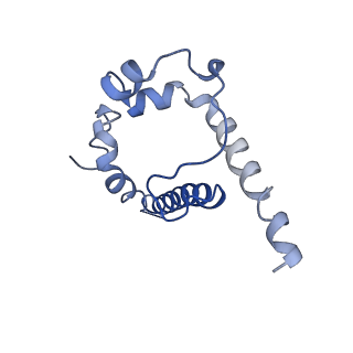 22102_6x96_D_v1-0
Cryo-EM model of HIV-1 Env BG505 SOSIP.664 in complex with rabbit monoclonal antibody 10A fragment antigen binding variable domain