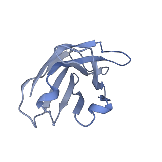 22102_6x96_E_v1-0
Cryo-EM model of HIV-1 Env BG505 SOSIP.664 in complex with rabbit monoclonal antibody 10A fragment antigen binding variable domain