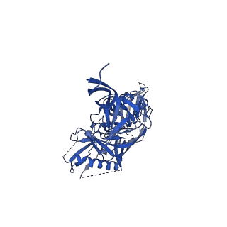 22102_6x96_G_v1-0
Cryo-EM model of HIV-1 Env BG505 SOSIP.664 in complex with rabbit monoclonal antibody 10A fragment antigen binding variable domain