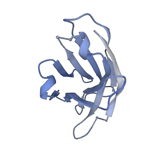 22102_6x96_H_v1-0
Cryo-EM model of HIV-1 Env BG505 SOSIP.664 in complex with rabbit monoclonal antibody 10A fragment antigen binding variable domain