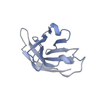 22102_6x96_J_v1-0
Cryo-EM model of HIV-1 Env BG505 SOSIP.664 in complex with rabbit monoclonal antibody 10A fragment antigen binding variable domain
