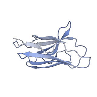 22102_6x96_L_v1-0
Cryo-EM model of HIV-1 Env BG505 SOSIP.664 in complex with rabbit monoclonal antibody 10A fragment antigen binding variable domain