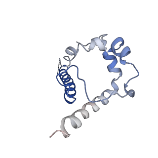 22103_6x97_B_v1-0
Cryo-EM model of HIV-1 Env BG505 SOSIP.664 in complex with rabbit monoclonal antibody 11A fragment antigen binding variable domain