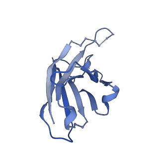 22103_6x97_E_v1-0
Cryo-EM model of HIV-1 Env BG505 SOSIP.664 in complex with rabbit monoclonal antibody 11A fragment antigen binding variable domain