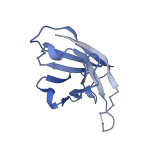 22103_6x97_H_v1-0
Cryo-EM model of HIV-1 Env BG505 SOSIP.664 in complex with rabbit monoclonal antibody 11A fragment antigen binding variable domain
