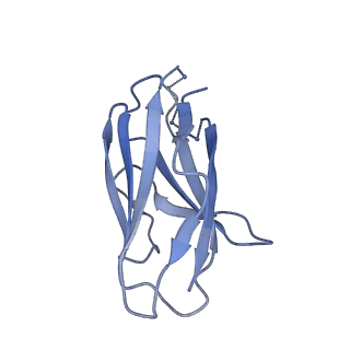 22103_6x97_K_v1-0
Cryo-EM model of HIV-1 Env BG505 SOSIP.664 in complex with rabbit monoclonal antibody 11A fragment antigen binding variable domain